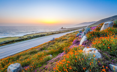 coastal view 