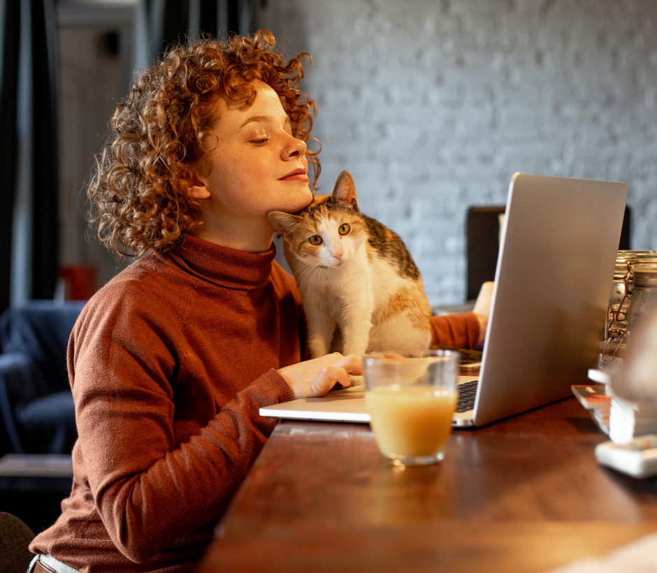 person with cat looking at laptop