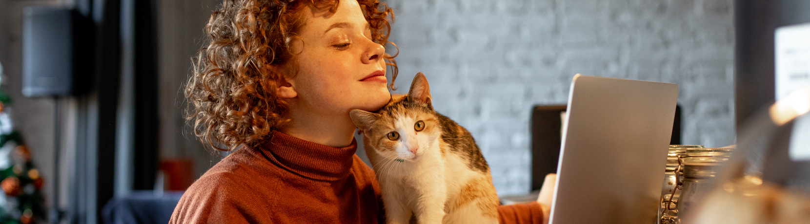 person with cat looking at laptop