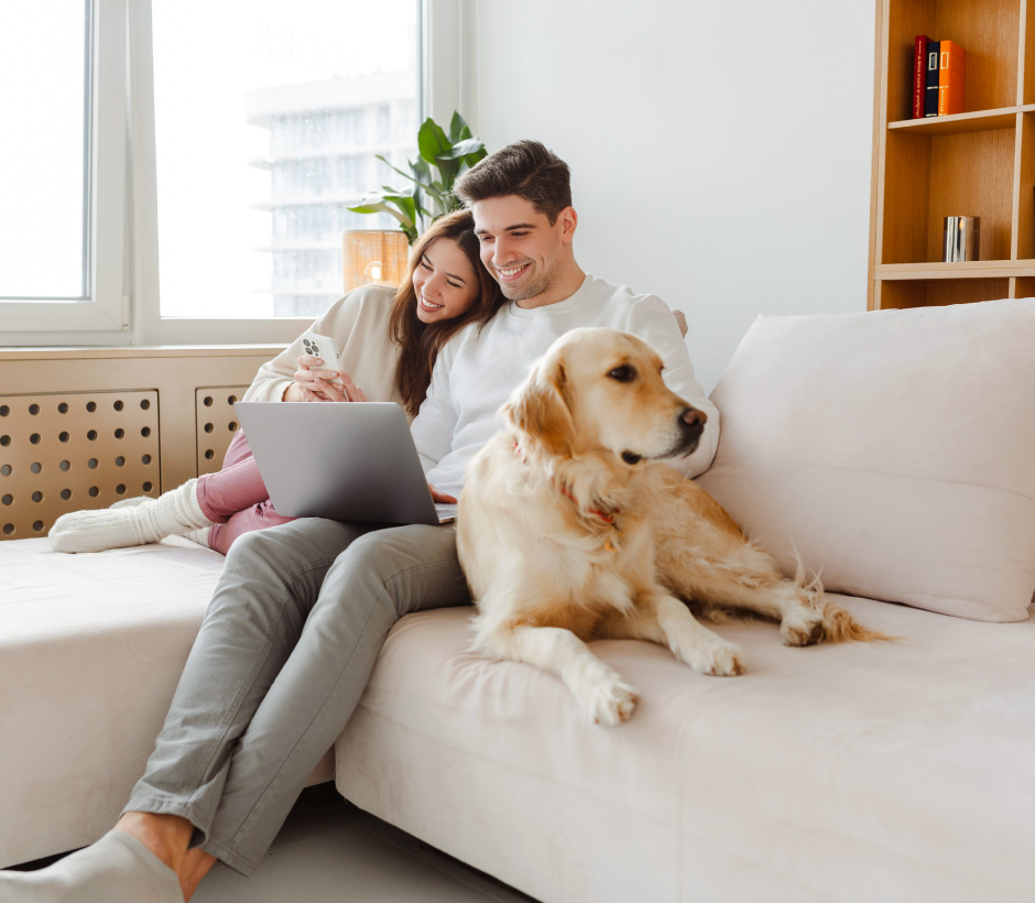 couple looking at laptop with dog